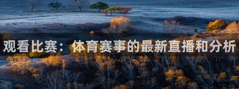 鲸鱼nba直播在线观看：观看比赛：体育赛事的最新直播和分析