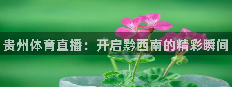 鲸鱼体育足球直播：贵州体育直播：开启黔西南的精彩瞬间