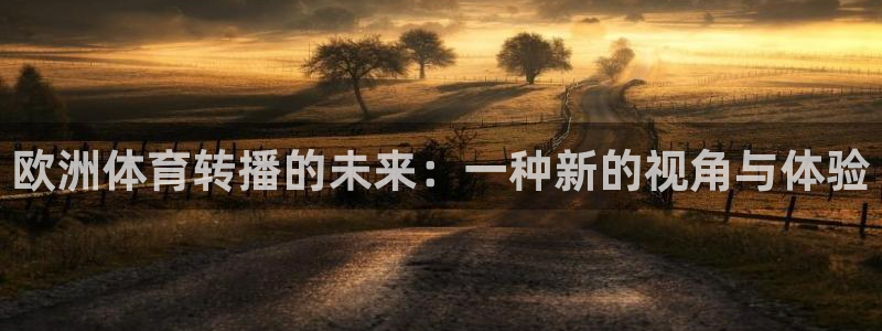 鲸鱼体育直播下载最新版：欧洲体育转播的未来：一种新的视角与体验